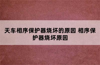 天车相序保护器烧坏的原因 相序保护器烧坏原因